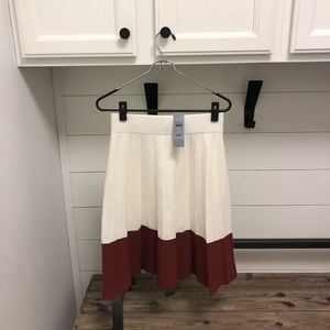 Ann Taylor Pleated Skirt